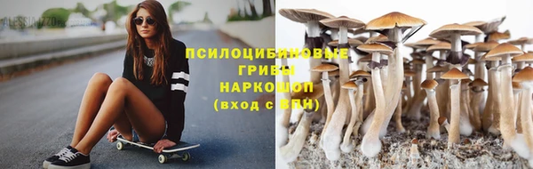 первитин Тында