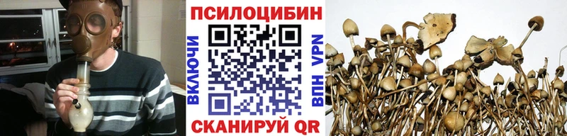 Псилоцибиновые грибы мухоморы  Апшеронск 