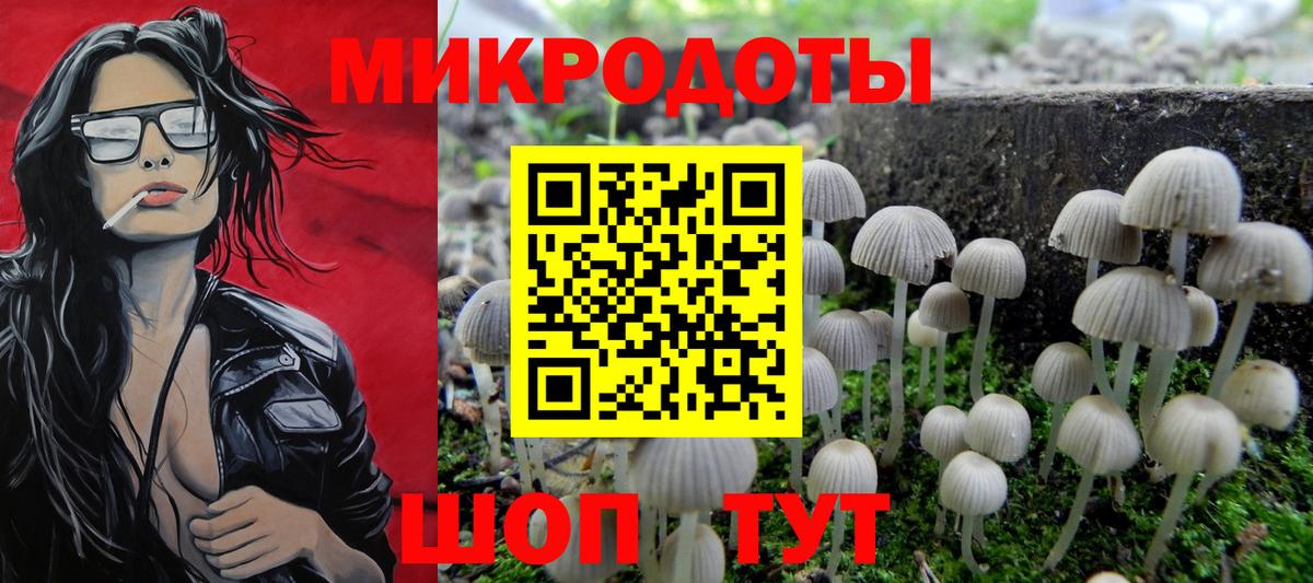 Псилоцибиновые грибы MAGIC MUSHROOMS Апшеронск