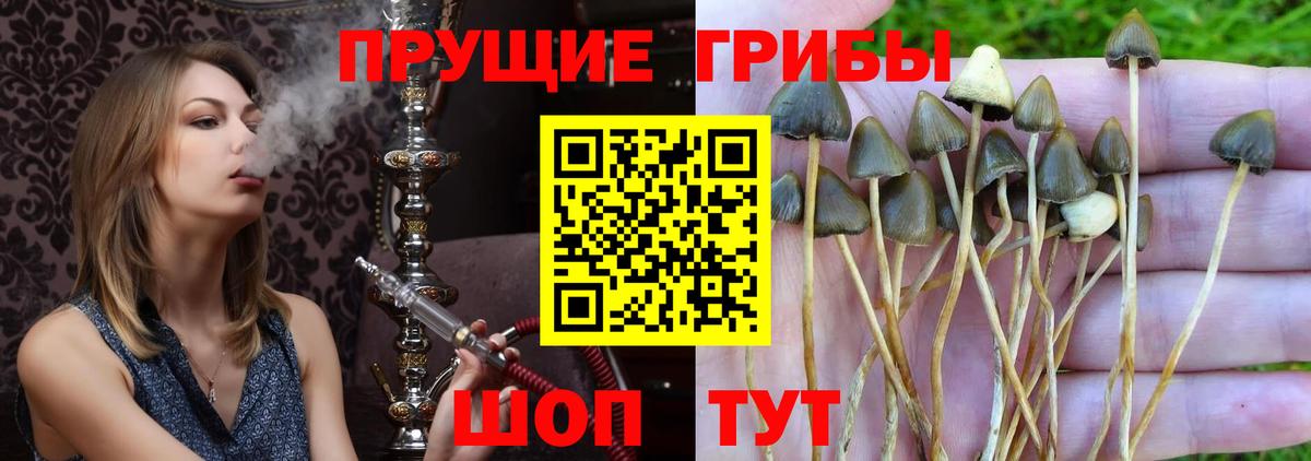 Гашиш  Каннабис  Кокаин  Каннабис  МЕФ кристаллы  Гашиш  Апшеронск  Вход с VPN 